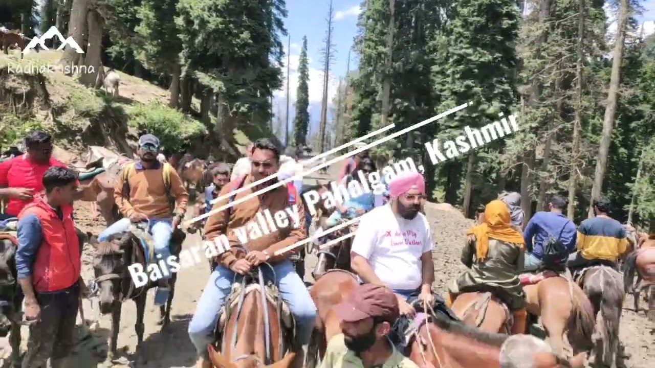 Baisaran valley, Pehalgum 