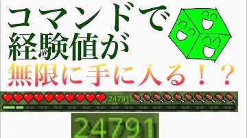 تحميل マイクラ統合版 コマンド経験値