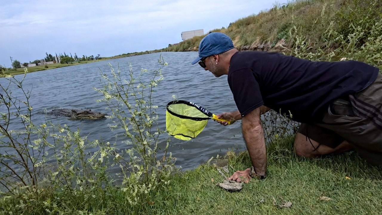 Probando productos de TEMU accesibles. Acuario urbano unboxing, ESTE PRODCUTO ES LO MÁS!!!