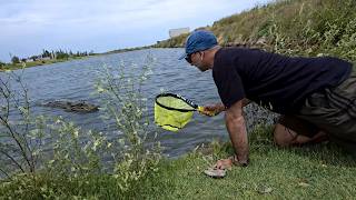 Probando productos de TEMU accesibles. Acuario urbano unboxing, ESTE PRODCUTO ES LO MÁS!!!