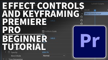 Keyframing and the Effect Controls Panel in Premiere Pro | Beginner Tutorial
