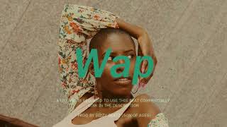 Afrobeats Instrumental " WAP " Davido x Minz x Burna Boy x Magixx x Black Sherif x Typebeat |2024