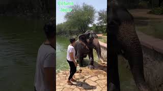 Elefun elephant sanctuary in Jaipur #jaipur #elephant #jaipurelephant #travel