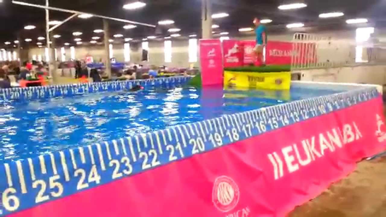 Eukanubasponsored Dock Diving YouTube