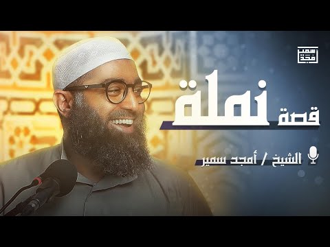 قصة نملة