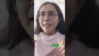 Campamento para perros: Cabañas, reglas y consejos