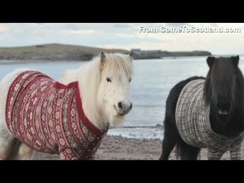 Видео: Хөгшрөлт бол баяр баясгалан юм: Ахмад хосуудын амьдралын тухай сэтгэл хөдлөм зургууд