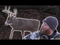 We Rattled In A Giant Buck! (Dropped Him in Sight)
