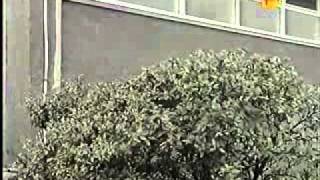 Steve Coogan on The Krypton Factor Part 7