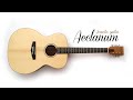 D'Elia Guitars / Aeclanum Acoustic Guitar - Video #2