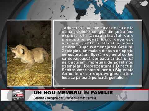Un Nou Membru In Familie Youtube