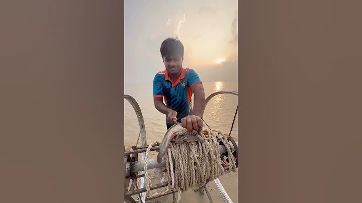 Awesome shark bait throwing method from the river  #fishinglife  #bait