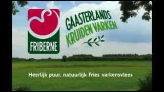 Friberne Logo Introductie