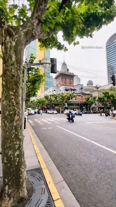 China will surprise you #China #chinatravel #shanghai