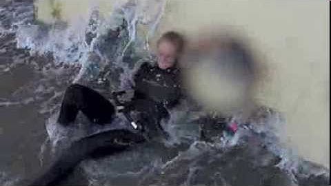 Seal Seesters Snorkel Swim