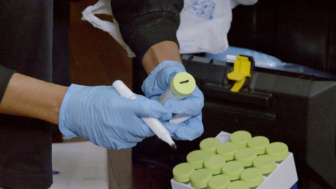 LeadBased Paint Clearance Examination Highlights YouTube