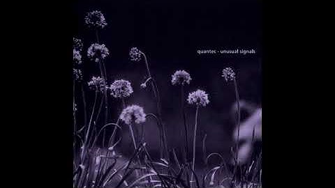 Quantec - Unusual Signals (Reversion) | Unusual Signals