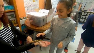Geckos Help ISD Third Graders Learn About Traits