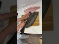 釣ったヒラメの捌き方【北海道、日本海産】
