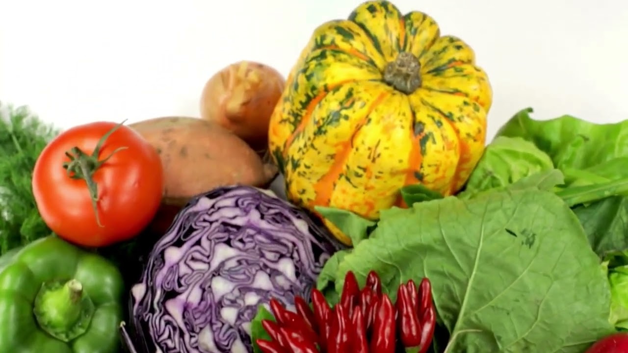 Honest weight loss – no diet stress