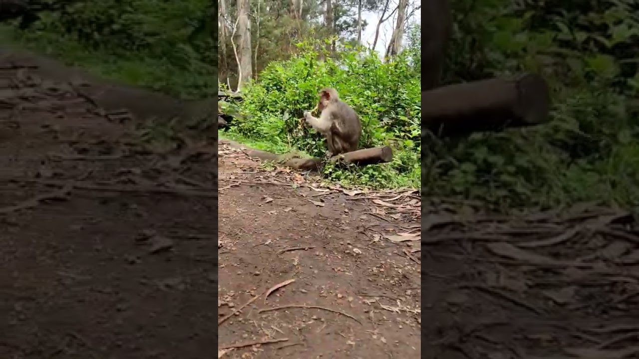 Gp muthu dialogue Anandhu Anandhu .... sevutupayaluku kathekekamataki dialogue 🤣🤣🤣|Sri_Editz96|