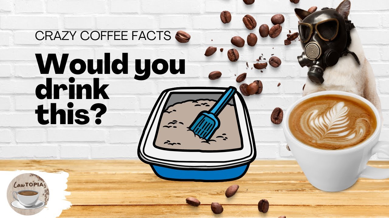 Crazy Facts About Coffee You Probably Didn’t Know