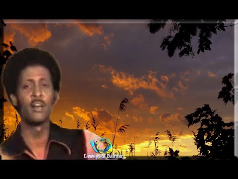 C Nuur Xalweyste Ahun Gacmaha Ubaxa Ku Sooqaad ERY Cabdi Aden Badey LXN Xalweyste T Q 08 07 76