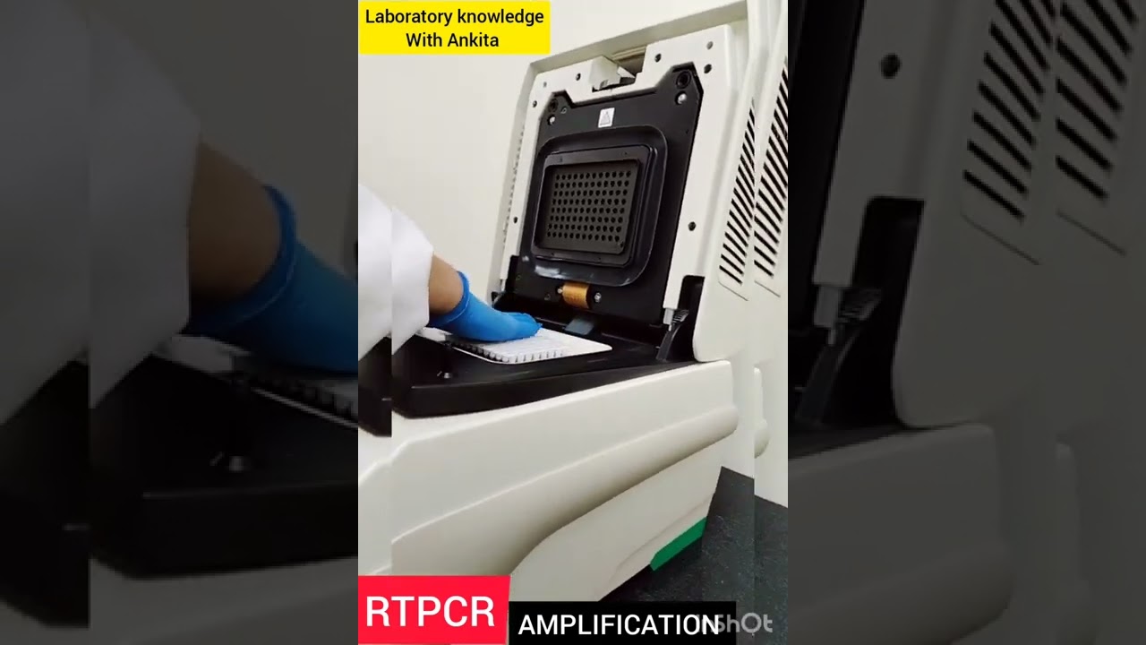 STEP = AMPLIFICATION (RTPCR).  