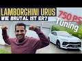 750 PS im Tuning-Monster Lamborghini Urus  | 387.000 € | Novitec | Hamid Mossadegh