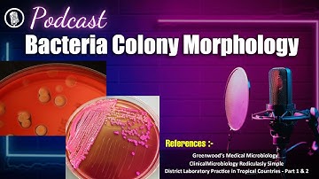 Bacteria Colony Morphology | A Complete Guide Podcast | Listen & Learn