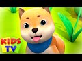 Bingo anjing | Lagu anak anak terpopuler | Kids Tv Indonesia | Video prasekolah | Animasi