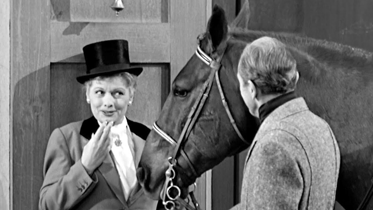 Lucy Goes on a Fox Hunt!