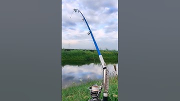 Cần câu cá tự động 2m1 2 trong 1 tải cá đến 20kg #fishing #shorts #10