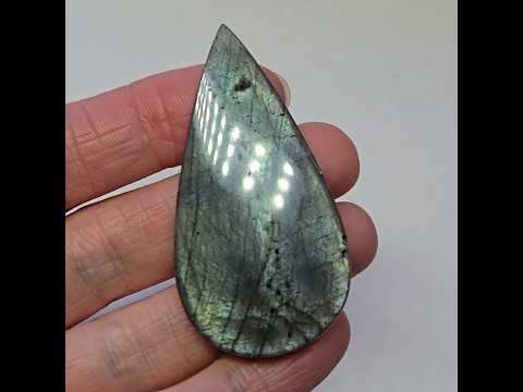 Лабрадор – двостороння вставка, видео 1