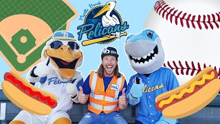 Handyman Hal explores Baseball Stadium | Baseball for Kids | Fun Sports Video for Kids ⚾