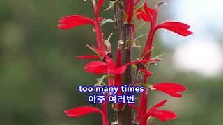 He'll Have To Stay - Jeanne Black: with Lyrics(가사번역) || Denver Botanic Gardens, Colorado 2017