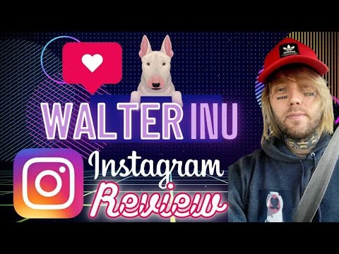 Walter Inu new Instagram Pages ️ #cheemsinu #saitama #cronus #metapets ...