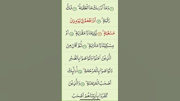 Surah Al-Balad  سورة البلد