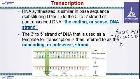 Mohammed Eleyan - Molecular Biology- Part1