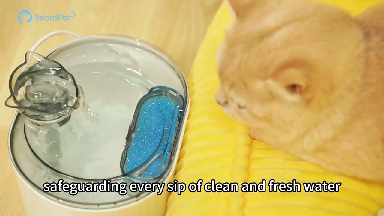 Why Cats Love Our FT-03 Cat-Head Fountain