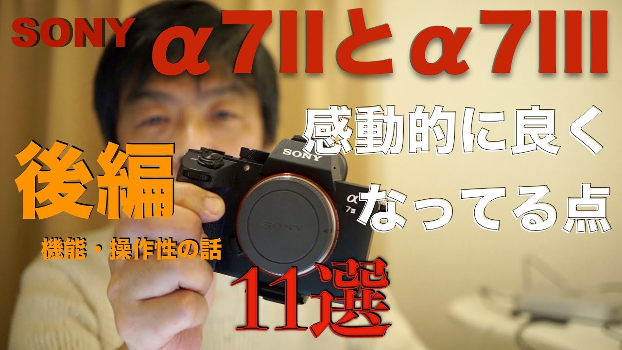 α7 II と α7 III・3ヶ月併用し、使用頻度が7 IIIに偏る理由11選