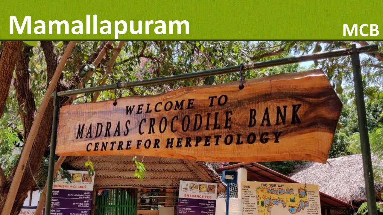 2019M08 The Madras Crocodile Bank in Mahabalipuram