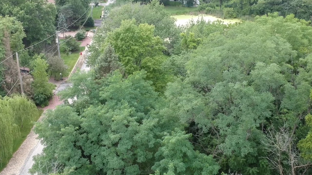 Land for Sale Palos Park, IL YouTube