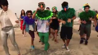 Meu Pintinho Amarelinho Carrossel 2 Funk