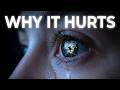 The Paradox of Fiction: Why Your Brain Cries at "Fake" Stories