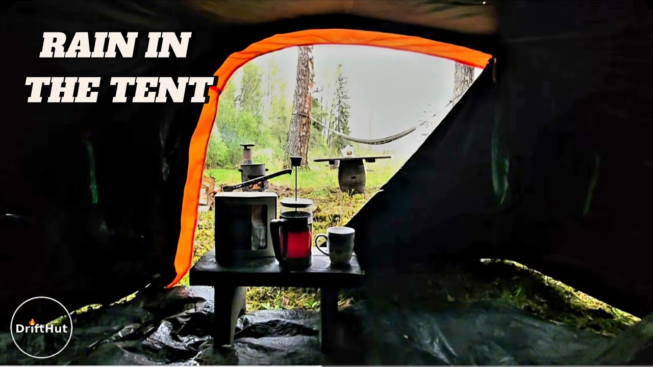 Spring Forest Rain | Quiet Tent Ambience (No Talking)