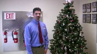 Christmas Trees & Holiday Fire Safety.  http://www.albanyfire.net