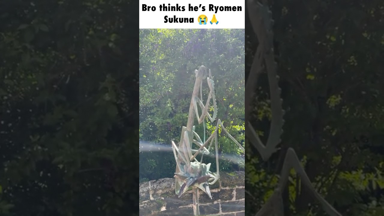 this statue thinks he’s Ryomen Sukuna 😭🙏 