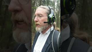 Determinism versus randomness explained with computer games