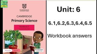 Cambridge primary science grade 3|unit:6.1|6.2,6.3,6.4|workbook answers